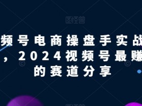 2024视频号电商赚钱秘籍：实战教程揭秘最赚钱赛道-54创业网