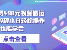 498元视频搬运原创教程：揭秘小白轻松学会的赚钱技巧-54创业网