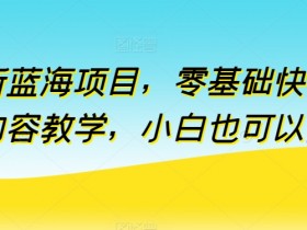 零基础快手付费内容教学：全新蓝海项目揭秘，小白轻松操作-54创业网