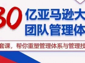 30亿亚马逊大卖团队管理课：重塑管理体系与技巧，快速提升业绩-54创业网