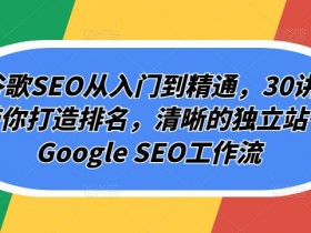 谷歌SEO教程：30讲独立站排名优化与Google SEO工作流全攻略-54创业网