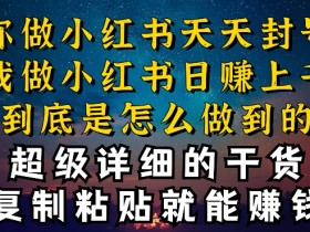 小红书引流变现秘籍：一天几十人上千收益，告别封号限流！-54创业网