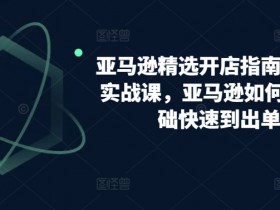 亚马逊开店教程：0基础选品到出单实战指南，亚马逊运营技巧-54创业网