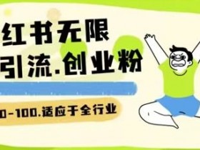 小红书精准引流秘籍：一天200创业粉的全行业实操玩法大揭秘-54创业网