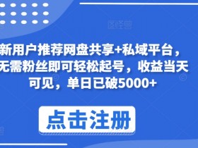 网盘共享赚钱：新用户0粉丝起号日赚5000+的私域平台揭秘-54创业网
