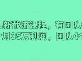 2024最新截流课程：4人团队月赚35万实战技巧，轻松学截流-54创业网