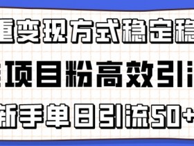新手单日引流50+精准项目粉高效引流术：多重变现稳定赚钱秘诀-54创业网
