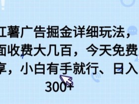小红书广告赚钱攻略：零基础日赚300+，手把手教你轻松掘金-54创业网