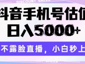 抖音手机号估值直播：不露脸日赚5000+，新手1分钟速成攻略-54创业网