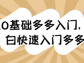 0基础新手如何快速入门多多？纯小白必看多多入门教程-54创业网