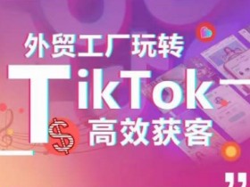 外贸工厂TikTok高效获客：引流技巧+账号定位+爆款案例拆解-54创业网