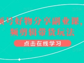 视频号带货副业课：0基础学视频剪辑，轻松玩转好物分享赚钱-54创业网