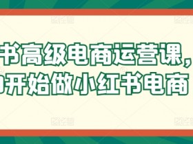 0基础学小红书电商运营：高级课程带你从0到爆单-54创业网