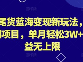 外贸尾货赚钱秘籍：冷门暴利项目月入3W+，蓝海市场变现全攻略-54创业网