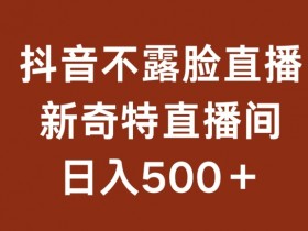 不露脸自动直播赚钱：揭秘日入500+的新奇特直播间玩法-54创业网