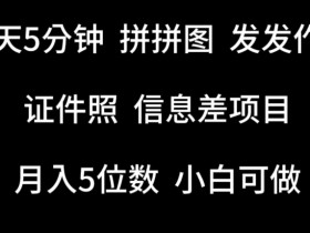 5分钟拼图证件照信息差项目：小白轻松赚钱，日入500+揭秘-54创业网