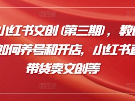 2024小红书文创运营指南：养号开店+直播带货卖文创技巧-54创业网