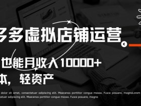 拼多多虚拟店铺运营：小白轻松月入10000+的实战秘诀-54创业网