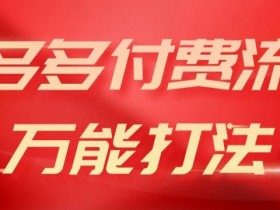 2024拼多多强付费起爆打法：高转化高投产流量逻辑揭秘-54创业网