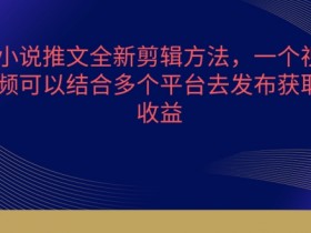 小说推文剪辑技巧：多平台发布秘籍，流量暴涨轻松赚钱-54创业网