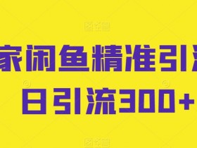 闲鱼精准引流秘籍：日加300+粉丝的独家实操技巧-54创业网