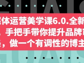 自媒体运营美学课6.0：手把手教你打造高审美品牌博主-54创业网