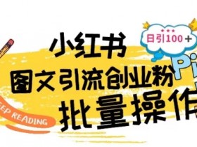 小红书批量引流技术：日引100+创业粉实战教程-54创业网