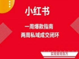 小红书电商变现教程：两周免费流量爆款攻略，新手必学-54创业网