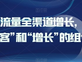 全渠道增长策略：获客与增长双管齐下引爆流量-54创业网