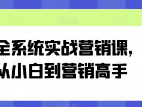 营销高手速成课：全系统实战营销从小白到大神-54创业网