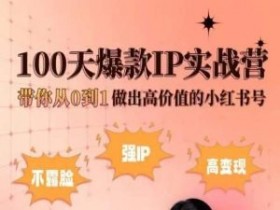 小红书爆款IP打造：100天实战营，0基础做出高价值小红书号-54创业网
