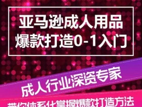 亚马逊成人用品爆款打造攻略：0-1系统化流程详解-54创业网