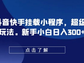 新手小白0粉抖音快手挂载小程序：超级变脸玩法日入300+揭秘-54创业网