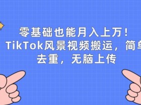 TikTok风景视频搬运：零基础月入上w，简单去重无脑上传-54创业网