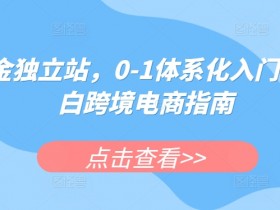 小白跨境电商入门指南：0-1体系化掘金独立站全攻略-54创业网