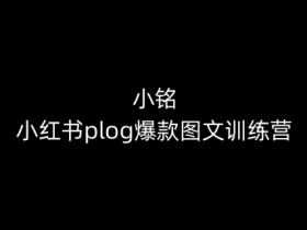 小红书plog爆款训练营：0基础教你打造爆款图文，新手也能月入过万-54创业网