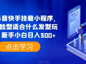 0粉抖音快手挂载小程序：测脸型选发型玩法，新手日入300+实操教程-54创业网