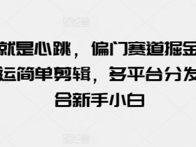 新手小白如何靠视频搬运赚钱？简单剪辑多平台分发，偏门赛道掘金秘籍-54创业网