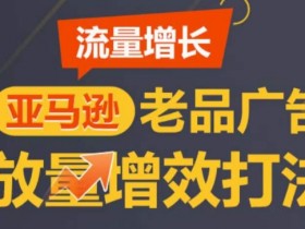 亚马逊广告优化技巧：老品放量增效打法，快速提升流量打造TOP listing-54创业网