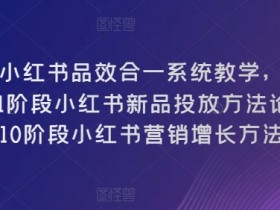 小红书营销增长秘籍：0-1新品投放+1-10爆款打造全攻略-54创业网