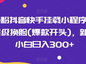 0粉抖音快手挂载小程序赚钱：超级换脸爆款玩法，新手小白日入300+实操教程-54创业网