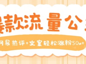 网易热评+文案涨粉50w秘诀：爆款流量公式大揭秘-54创业网