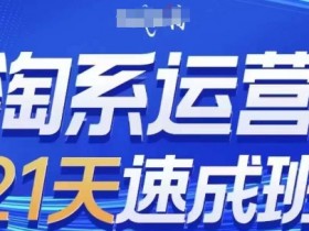 2024淘系运营速成班：21天0基础实战教学，轻松掌握电商运营技巧-54创业网