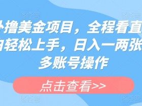海外撸美金项目揭秘：小白轻松日赚100+，多账号操作全程直播教学-54创业网