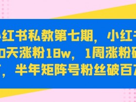 小红书私教第七期：90天涨粉18w秘籍，1周破万+半年矩阵号百万粉实战攻略-54创业网
