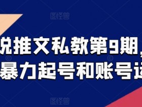 小说推文私教第9期：暴力起号+账号运营实战，手把手教你爆款推文-54创业网