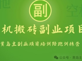 手机搬砖副业训练营：1小时赚50+，日入100+，一部手机轻松搞定-54创业网
