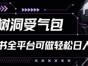 树洞受气包项目：小红书轻松日入200+的赚钱秘籍-54创业网