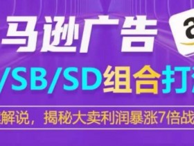 亚马逊广告SP/SB/SD组合打法：7倍利润暴涨战术大揭秘-54创业网