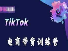 TikTok电商带货训练营：跨境掘金秘籍，轻松玩转短视频带货-54创业网